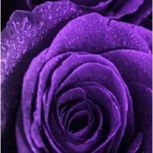 Can’t go any lower on my prices.